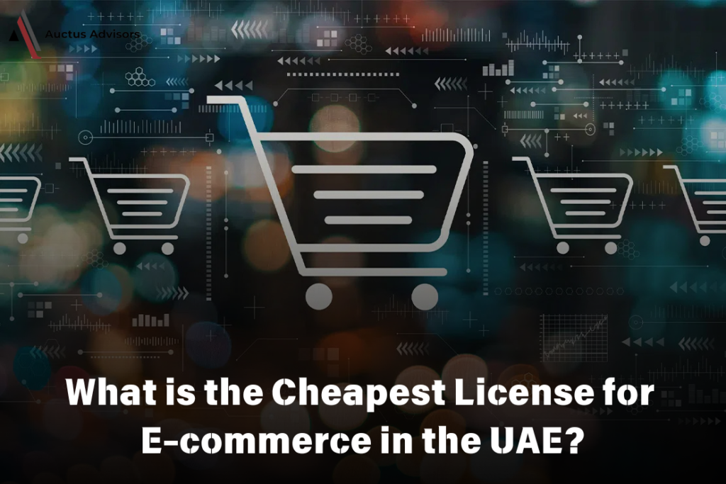 What is the Cheapest License for E-commerce in the UAE